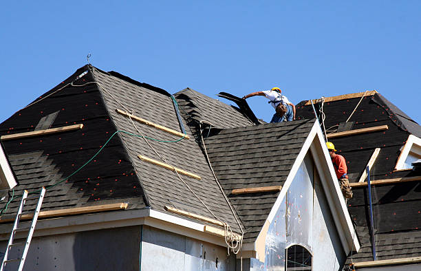 Best Storm Damage Roof Repair  in Corunna, MI