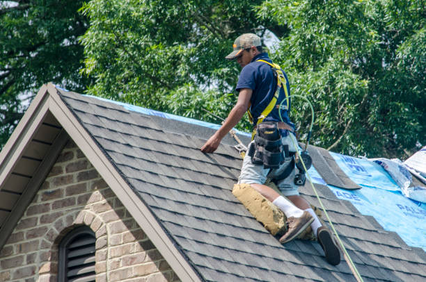 Gutter Installation and Roofing in Corunna, MI